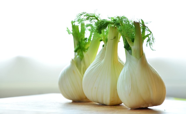 Drei frische Fenchelknollen mit grünen Stielen und Wedeln, die an leuchtenden Fenchel erinnern, in einer Reihe auf einer hellen Holzoberfläche vor einem verschwommenen weißen Hintergrund angeordnet. Die Knollen sind leuchtend und gesund und zeigen ihre einzigartige Form und Textur.